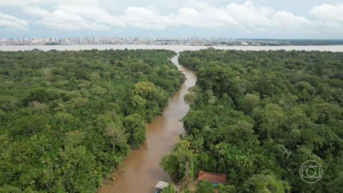 Joguinho de exploração q se passa na Amazônia q dá pra fazer