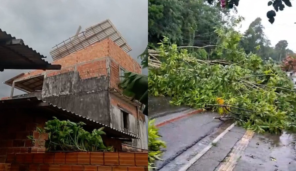 Temporal atinge Grande Belém pelo segundo dia seguido e provoca alagamentos, queda de árvore e destelhamento; VÍDEO
