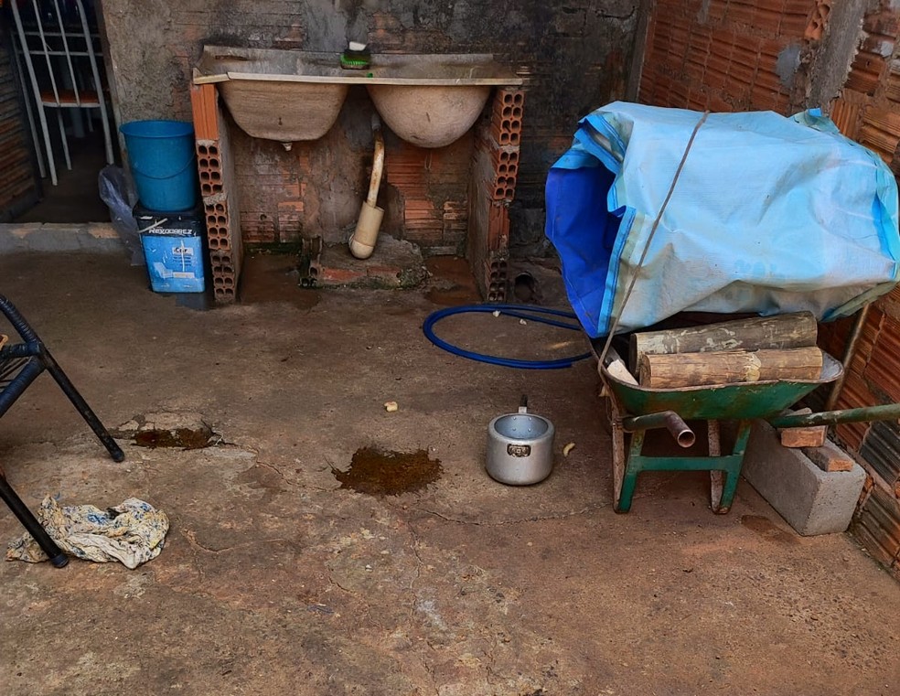 Na residência, os agentes encontraram três cães presos a correntes muito curtas — Foto: Polícia Ambiental