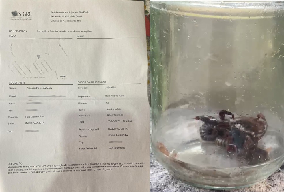 Protocolo registrado por morador referente a infestação de escorpião no bairro Itaim Paulista — Foto: Arquivo pessoal