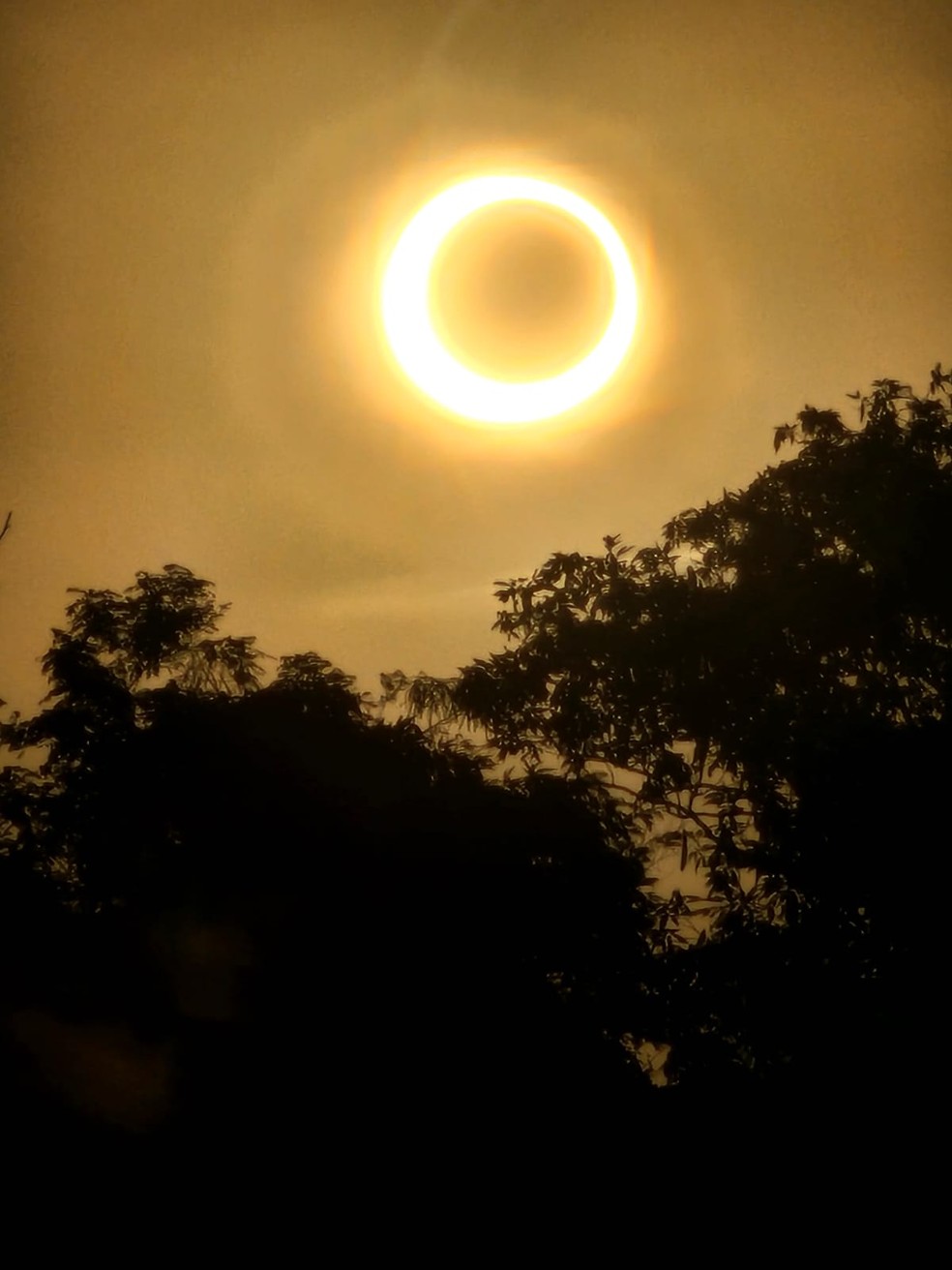 Anularidade total do eclipse foi vista de João Pessoa — Foto: Danielle Carneiro/Semana do Eclipse 2023
