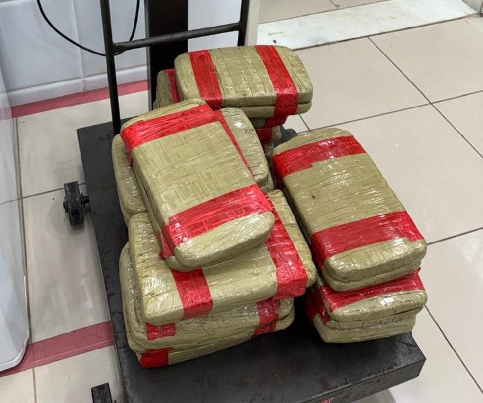 Tabletes de droga apreendidos com passageira totalizaram um peso de 32 kg. — Foto: Divulgação/ PF.