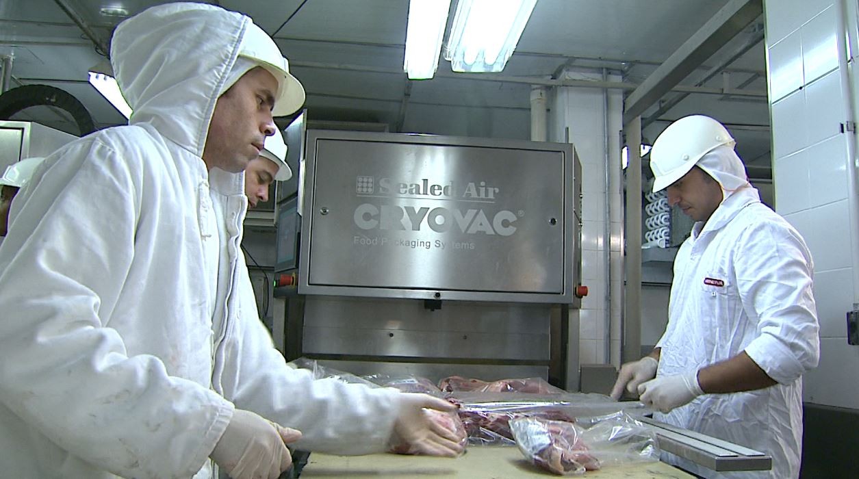 'Tarifaço' de Trump pode causar 'efeito chicote' no preço da carne brasileira, diz especialista; entenda
