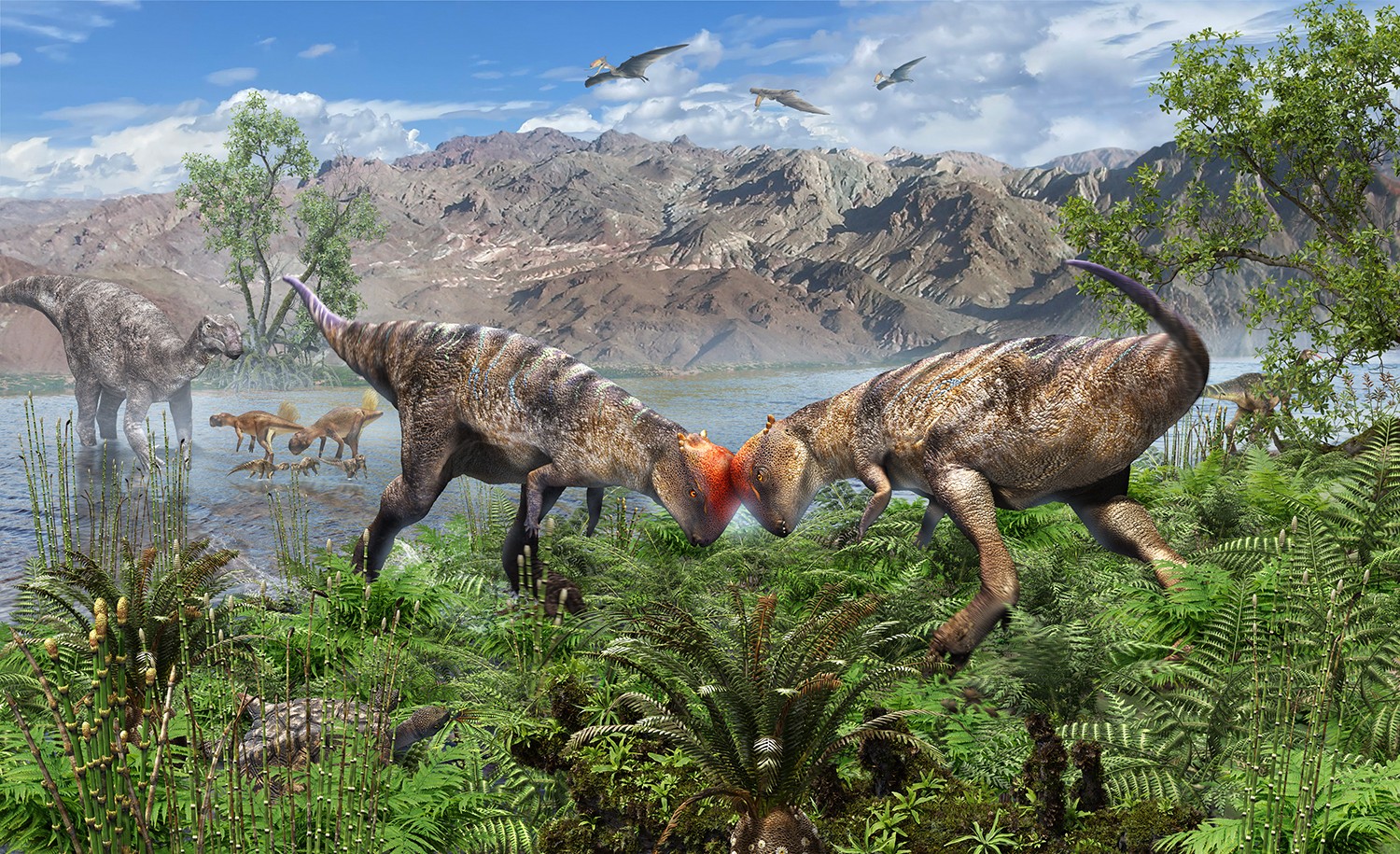 Cientistas descobrem na Mongólia fóssil do mais antigo dinossauro com 'capacete ósseo'; entenda