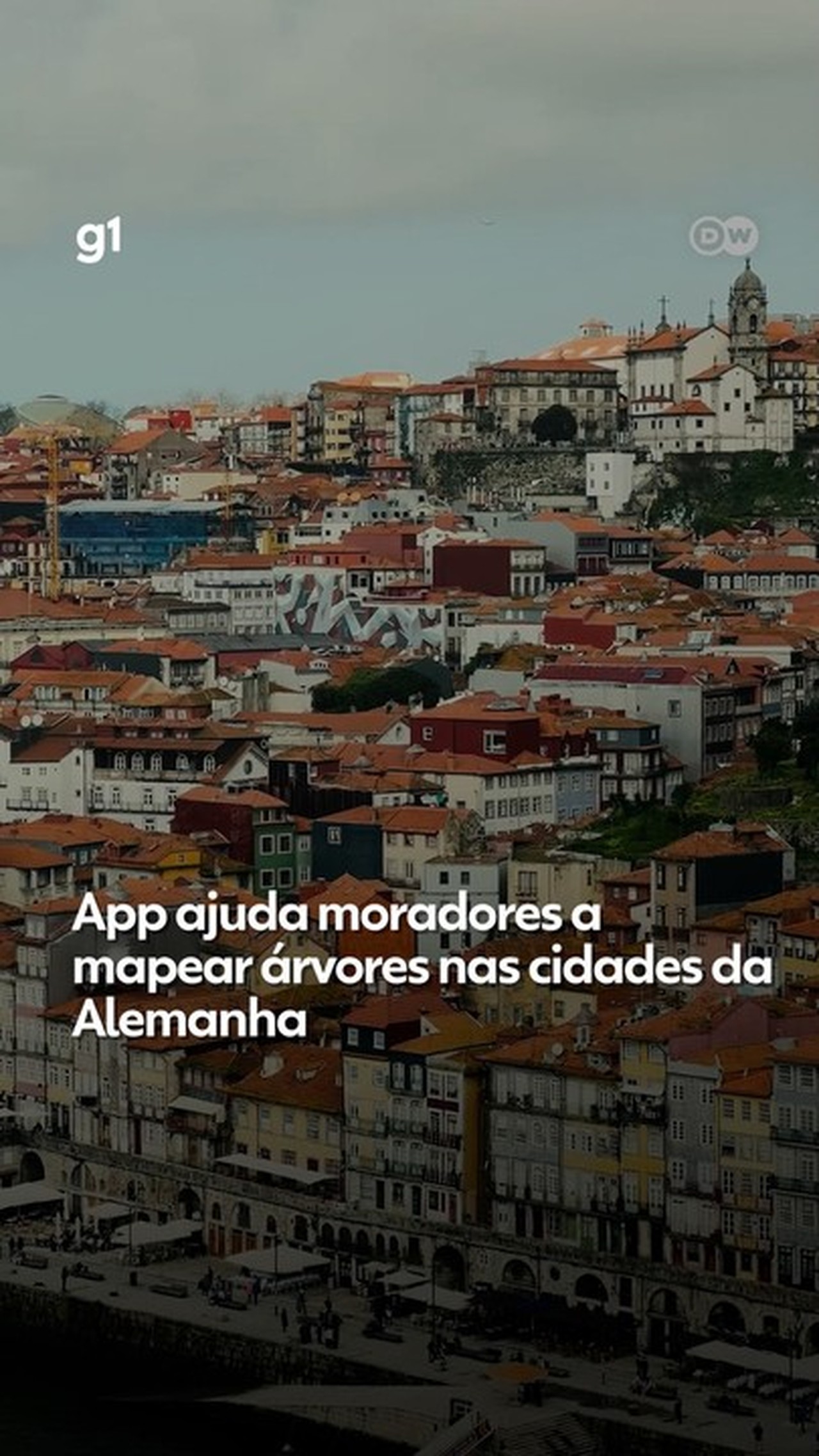 App ajuda moradores a mapear árvores nas cidades da Alemanha
