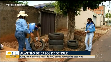 Araguaína soma 700 casos notificados de dengue em 2026