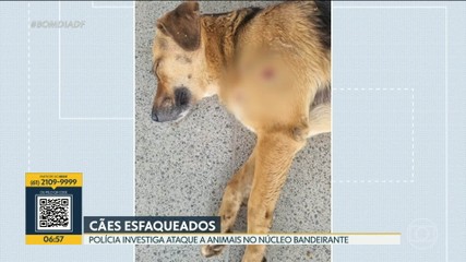 VÍDEOS: Bom Dia DF de sexta-feira, 16 de outubro de 2026 - imagem 6