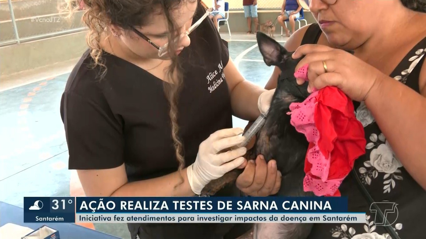 Projeto da Ufopa investiga casos de sarna em cães e alerta tutores sobre cuidados com a saúde animal