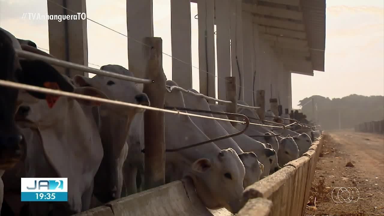 VÍDEOS: Jornal Anhanguera 2ª Edição-TO de sábado, 15 de novembro de 2025