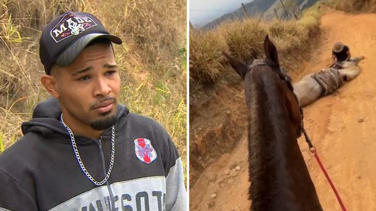 'Não sou um monstro', diz homem que confessou ter mutilado cavalo com facão