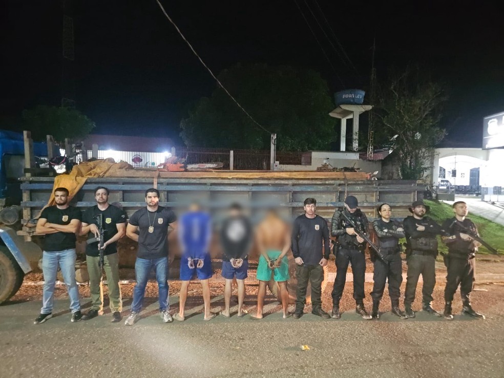 Operação identificou 20 pontos de desmatamento ilegal em reserva federal do Vale do Jari. — Foto: Polícia Civil/Divulgação