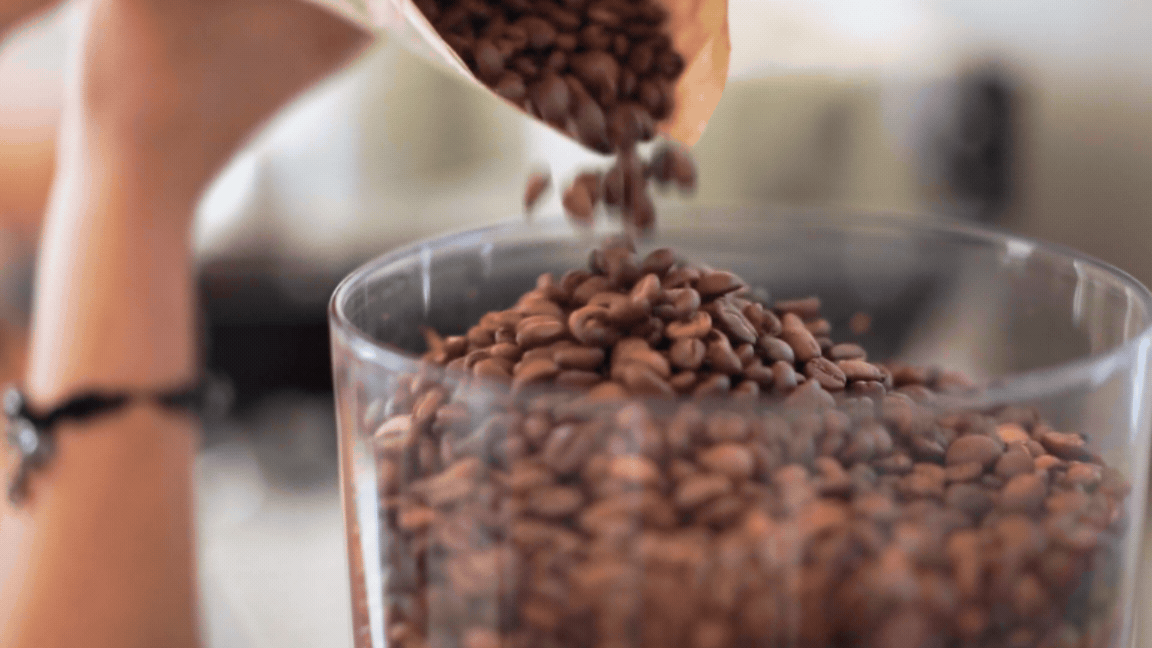 Dia do Café: veja como é produzir grãos no DF e dicas para preparar a bebida em casa