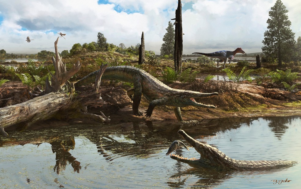Epoidesuchus Tavaresae — Foto: Guilherme Gehr