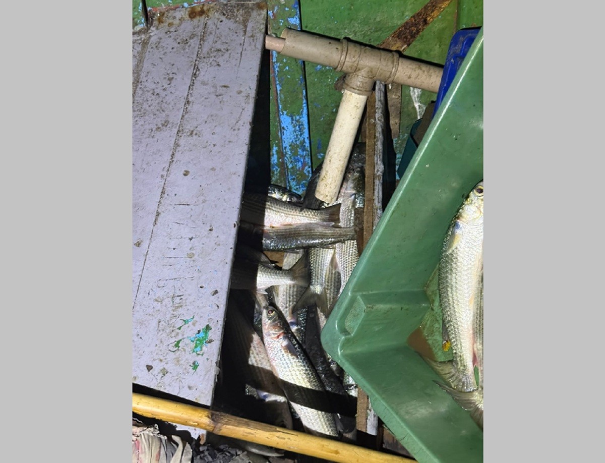 Flagrado durante o defeso, pescador foge nadando e deixa filho adolescente para trás em Araruama