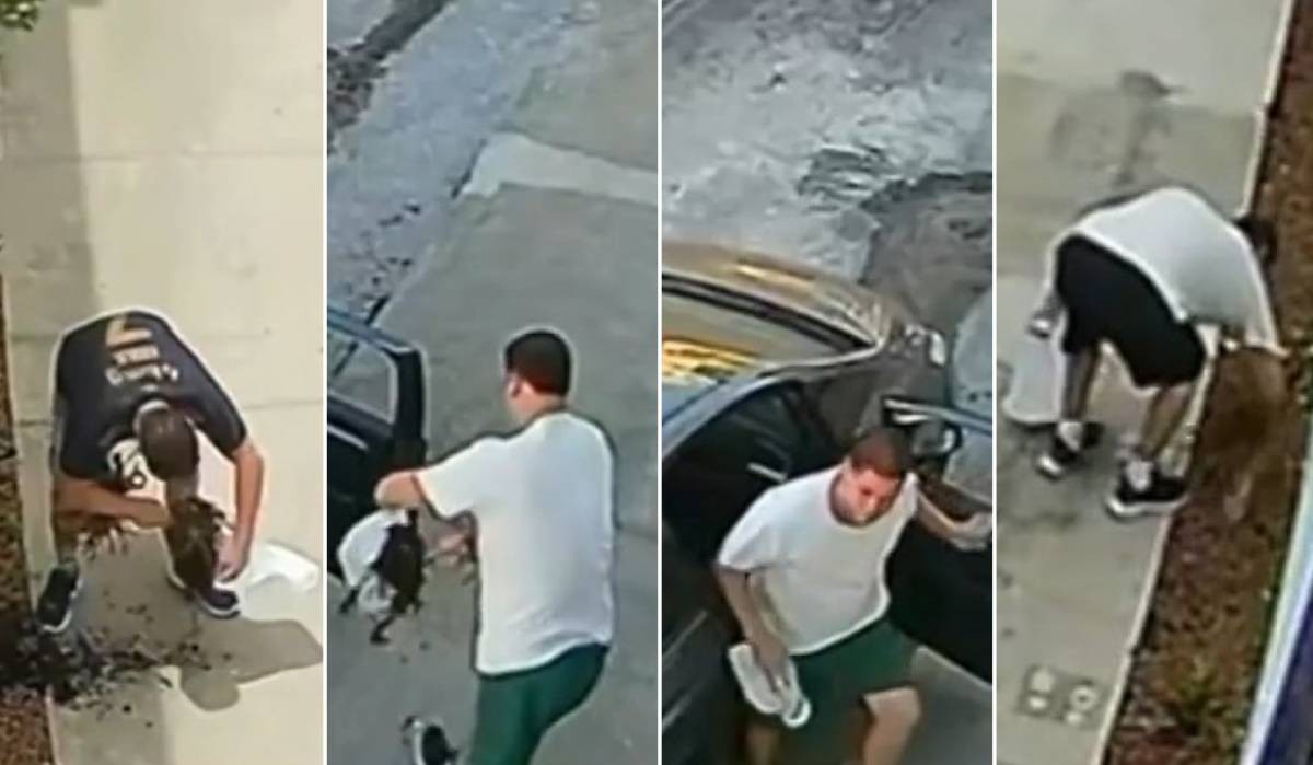 Suspeito de furtar jardim de escola 10 vezes em 8 meses se apresenta à polícia, é preso, mas solto após fiança