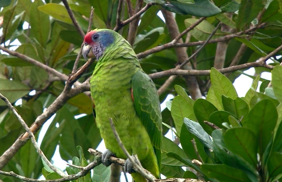 Assista ao Terra da Gente na íntegra