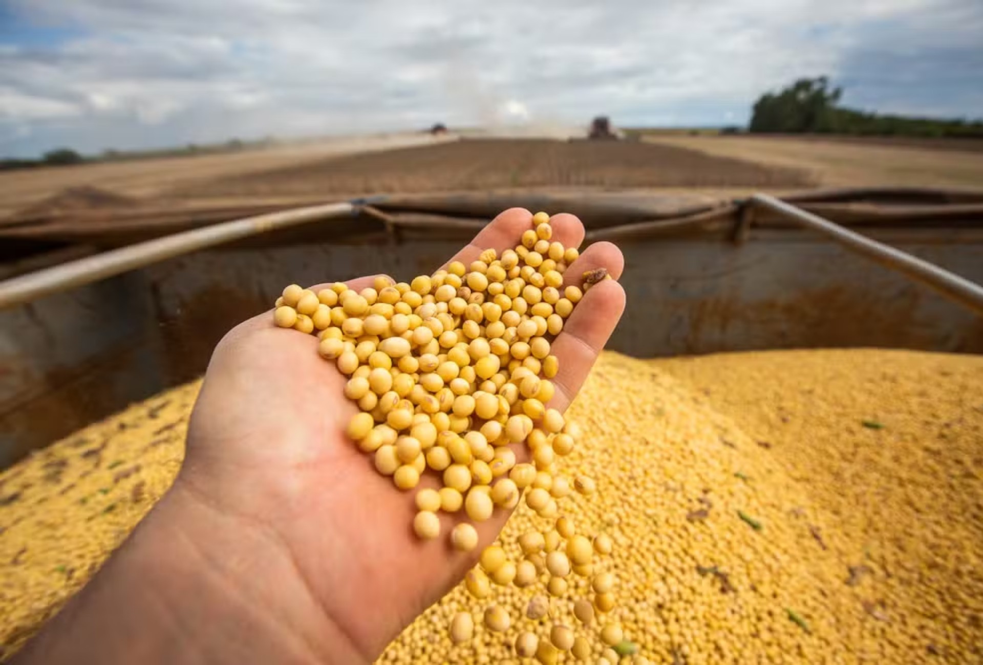 Pagar trator com soja? 'Barter’ ganha espaço com juros altos no agronegócio; entenda