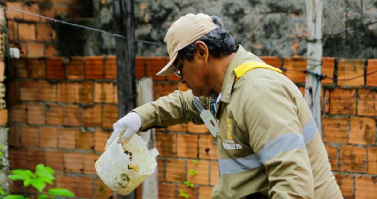 Seis bairros de Manaus têm alto risco de infestação da dengue