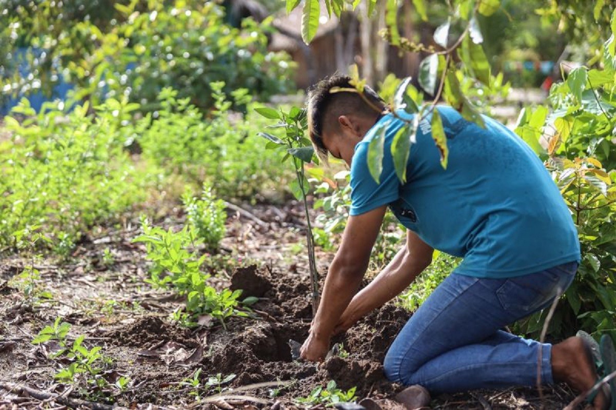 Em Mojuí dos Campos, Emater auxilia agricultores para acesso a crédito e 'Minha Casa Rural'