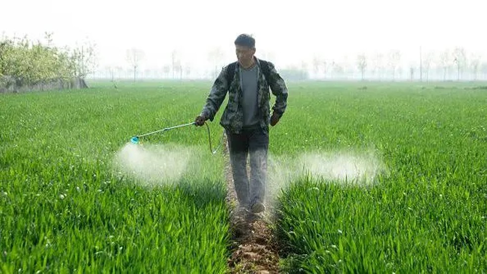 Os disruptores têm uma estrutura química parecida a de hormônios — Foto: Getty Images via BBC
