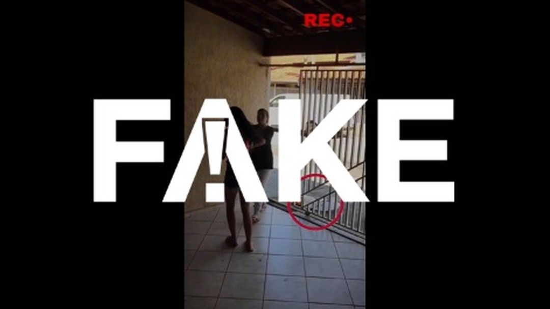 G1 FATO OU FAKE visual data 5