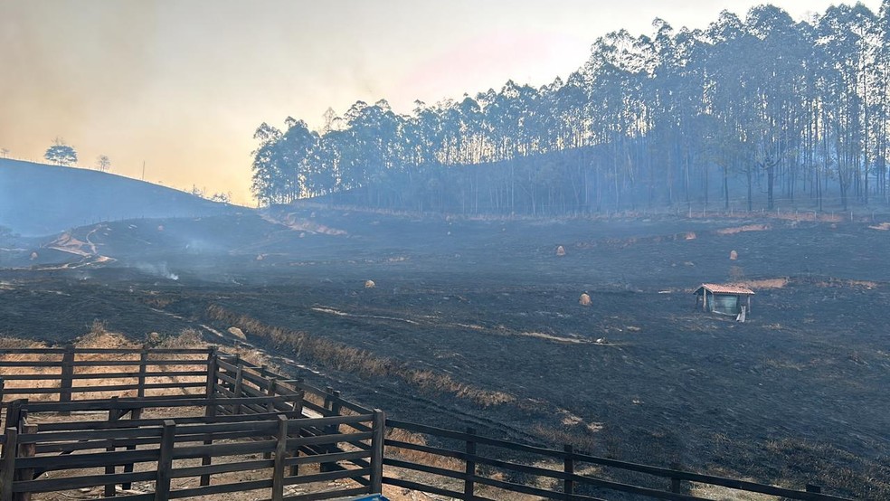 Irmãos morreram enquanto tentavam foco em uma fazenda em Pedra do Anta — Foto: Corpo de Bombeiros/Divulgação