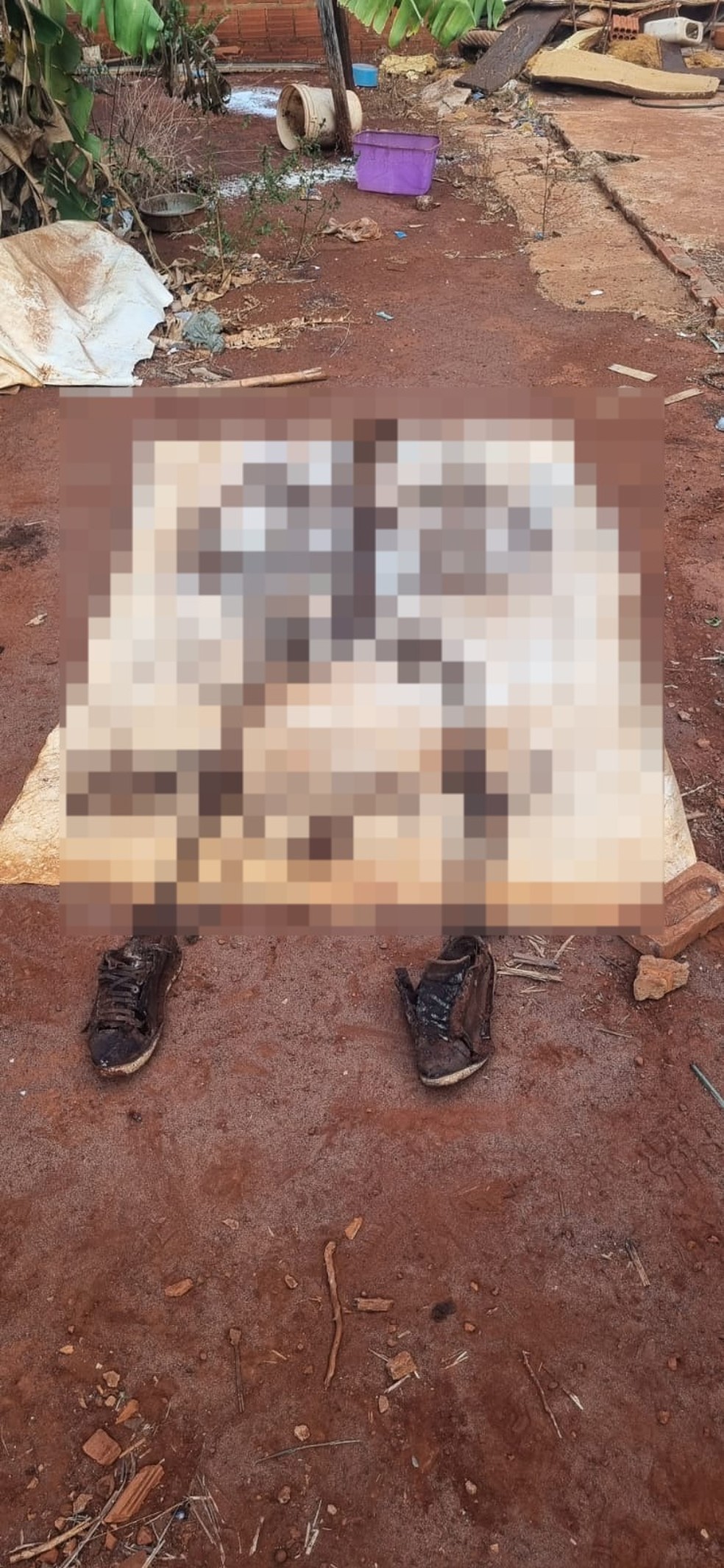 Ossada da vítima encontrada no quintal de casa — Foto: Divulgação