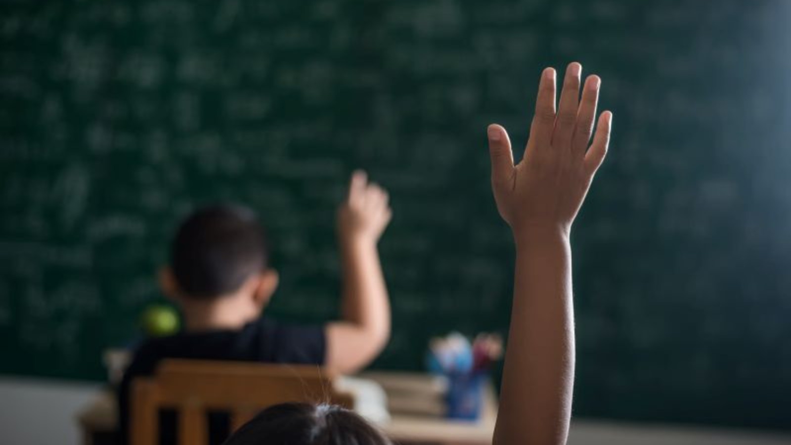 Entenda: PUC Campinas leva ações de sustentabilidade e justiça à escola pública
