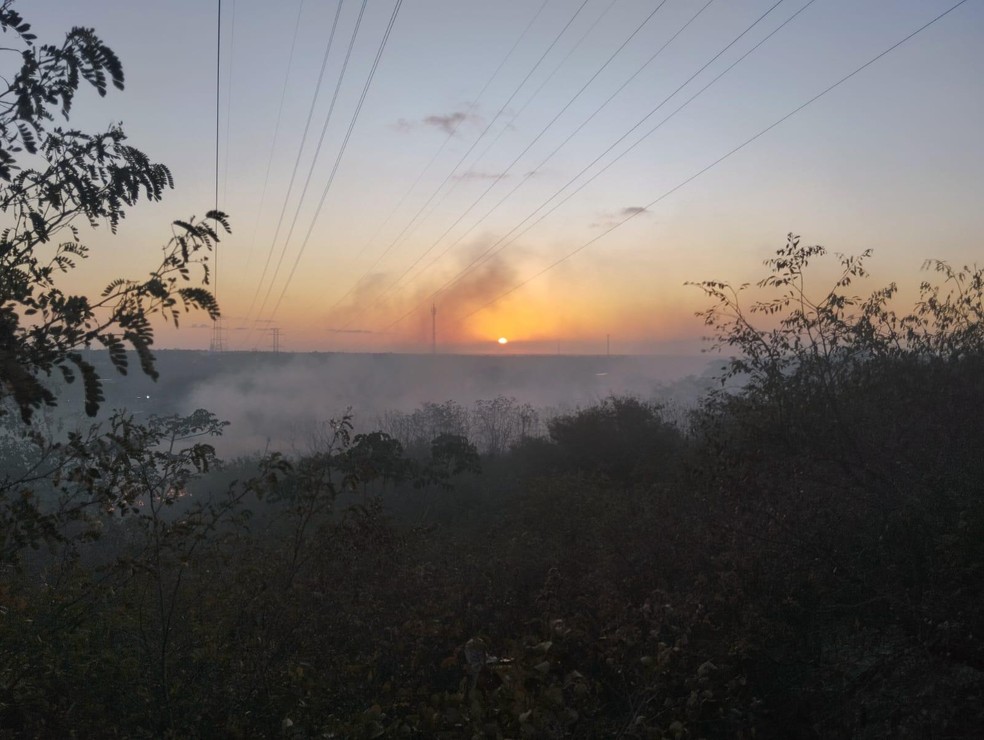 Área de vegetação registrou incêncio na tarde de terça-feira (8) em Natal — Foto: Corpo de Bombeiros/Divulgação