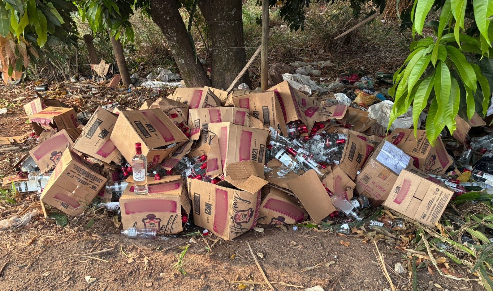 Você Não Tá Convidada pro Meu Bat Mitzvá!