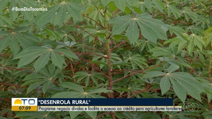 Programa Desenrola Rural facilita acesso ao crédito para agricultores familiares