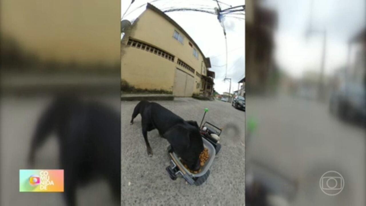 Carrinho-Robô Leva Comida para Cachorros Que Estão na Rua Em Bairro de São Gonçalo