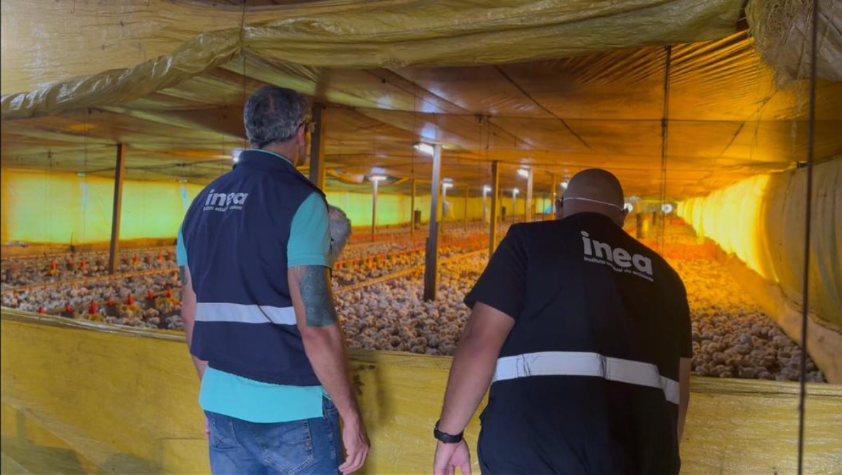 Inea interdita duas granjas de aves em Barra do Piraí por irregularidades ambientais 