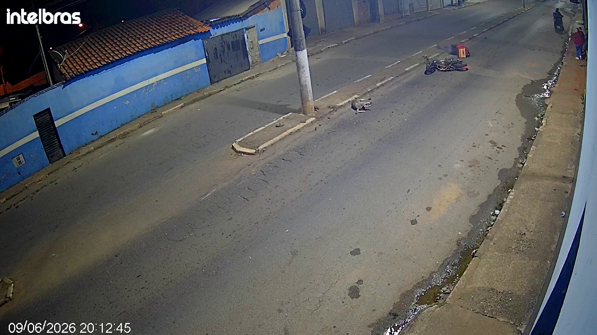 VÍDEO: cão é socorrido em estado grave após ser atropelado por motociclista em avenida de Capão Bonito