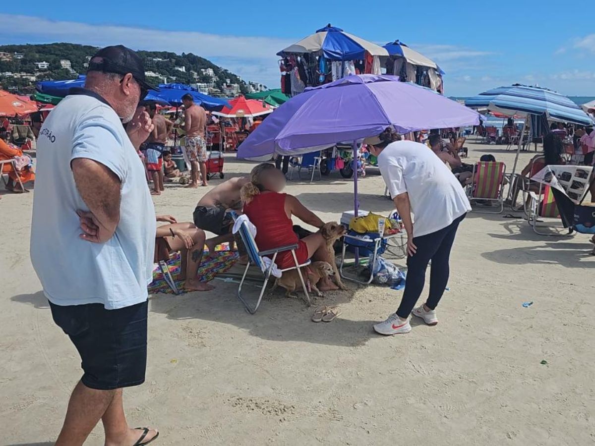 Caixas de som e animais na areia; veja quais são as principais irregularidades nas praias de Guarujá