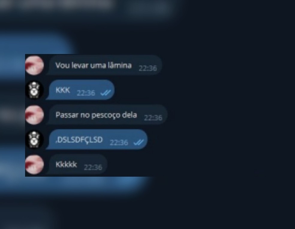 Parte da conversa na qual Barbey disse que iria levar uma lâmina para cortar o pescoço da vítima — Foto: Reprodução/Discord