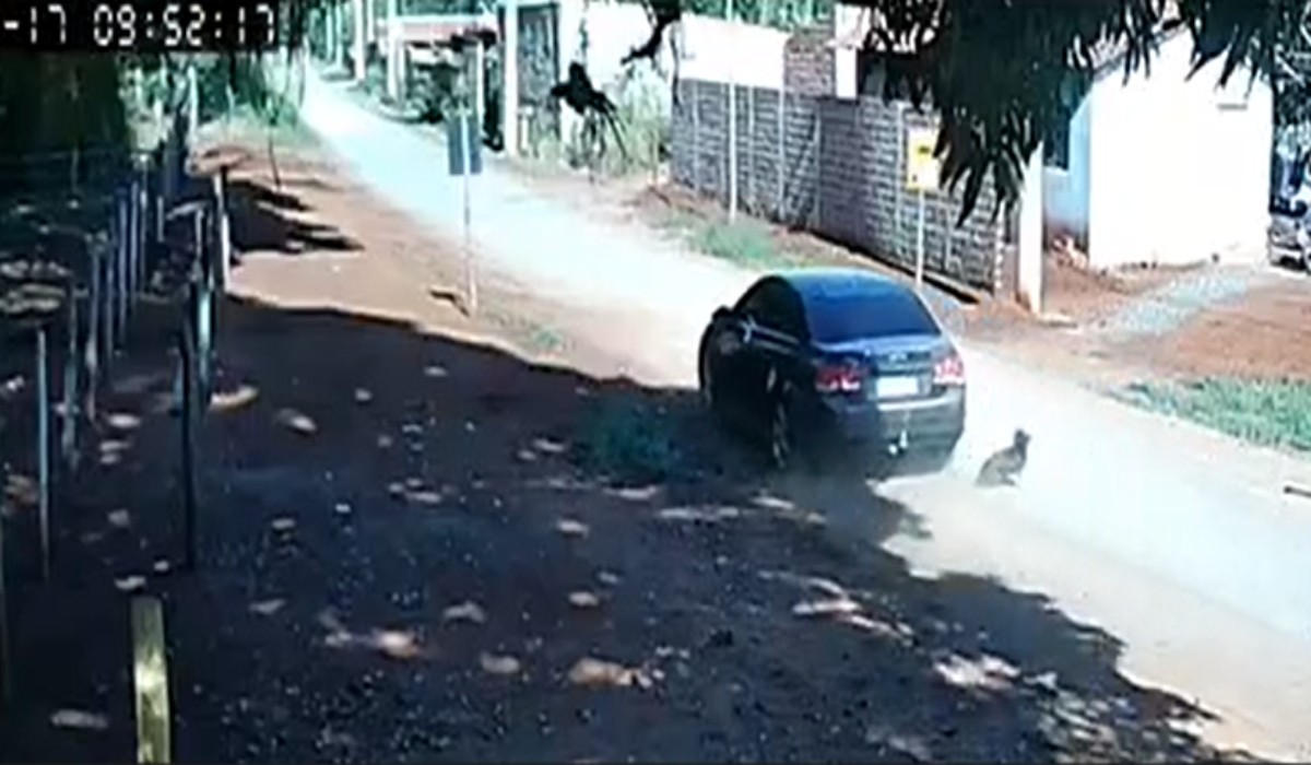 Você Não Tá Convidada pro Meu Bat Mitzvá!