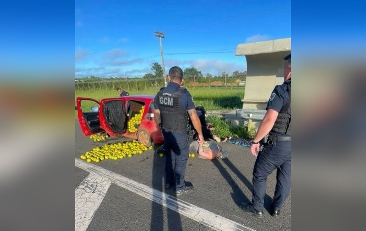 Trio é preso suspeito de furtar meia tonelada de laranjas no interior de SP