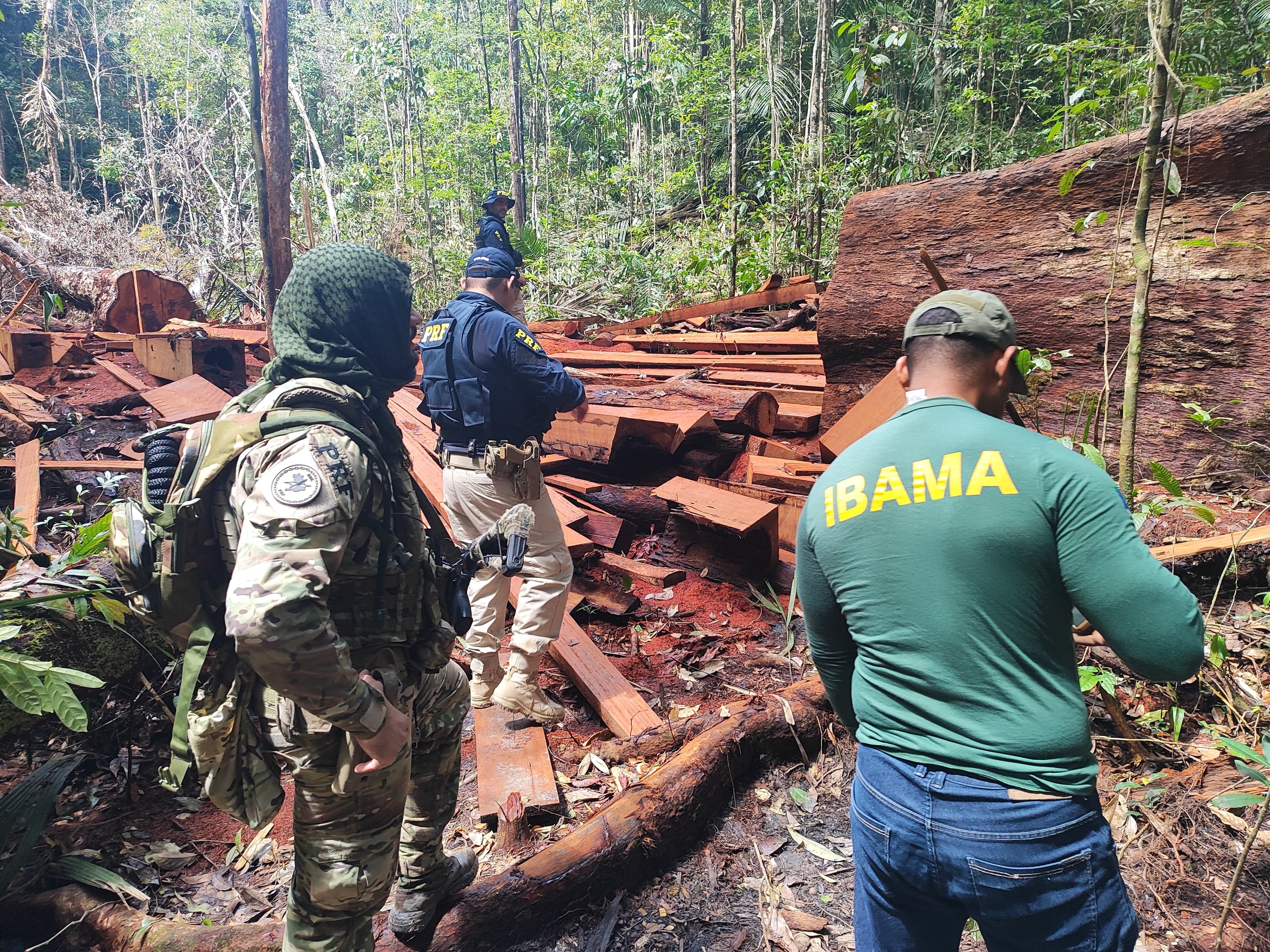 Em Mazagão, ação da PRF com o Ibama realiza a maior apreensão de madeira ilegal do Amapá