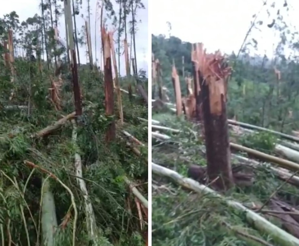 Eu acho que vai garoar por aqui rsrs. . . #tornado #chuva