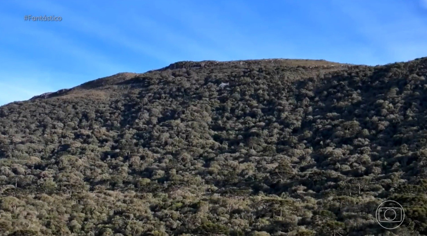 Fantástico refaz trajeto até local onde caiu helicóptero em que estava cantor Rick