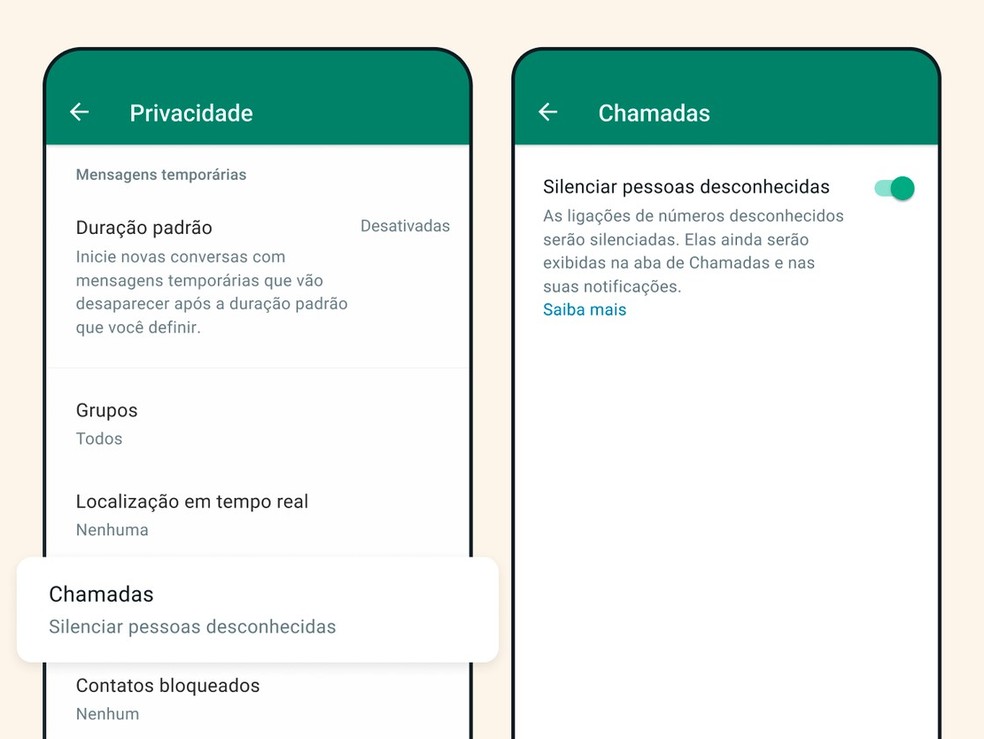 WhatsApp agora permite silenciar ligações de números desconhecidos — Foto: Divulgação/WhatsApp