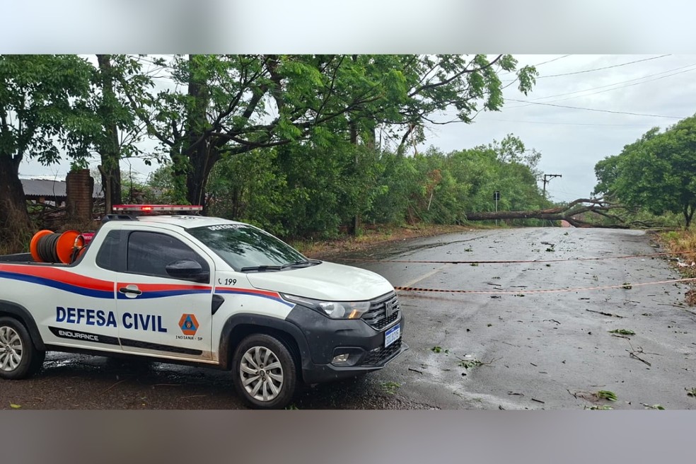 Chuva deixou estragos em Indiana (SP) — Foto: Defesa Civil