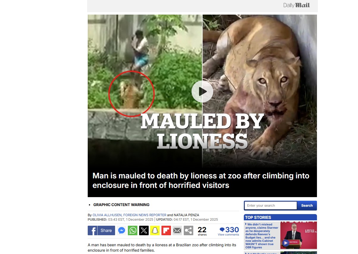 Morte de homem que entrou em jaula de leoa em João Pessoa repercute na imprensa internacional