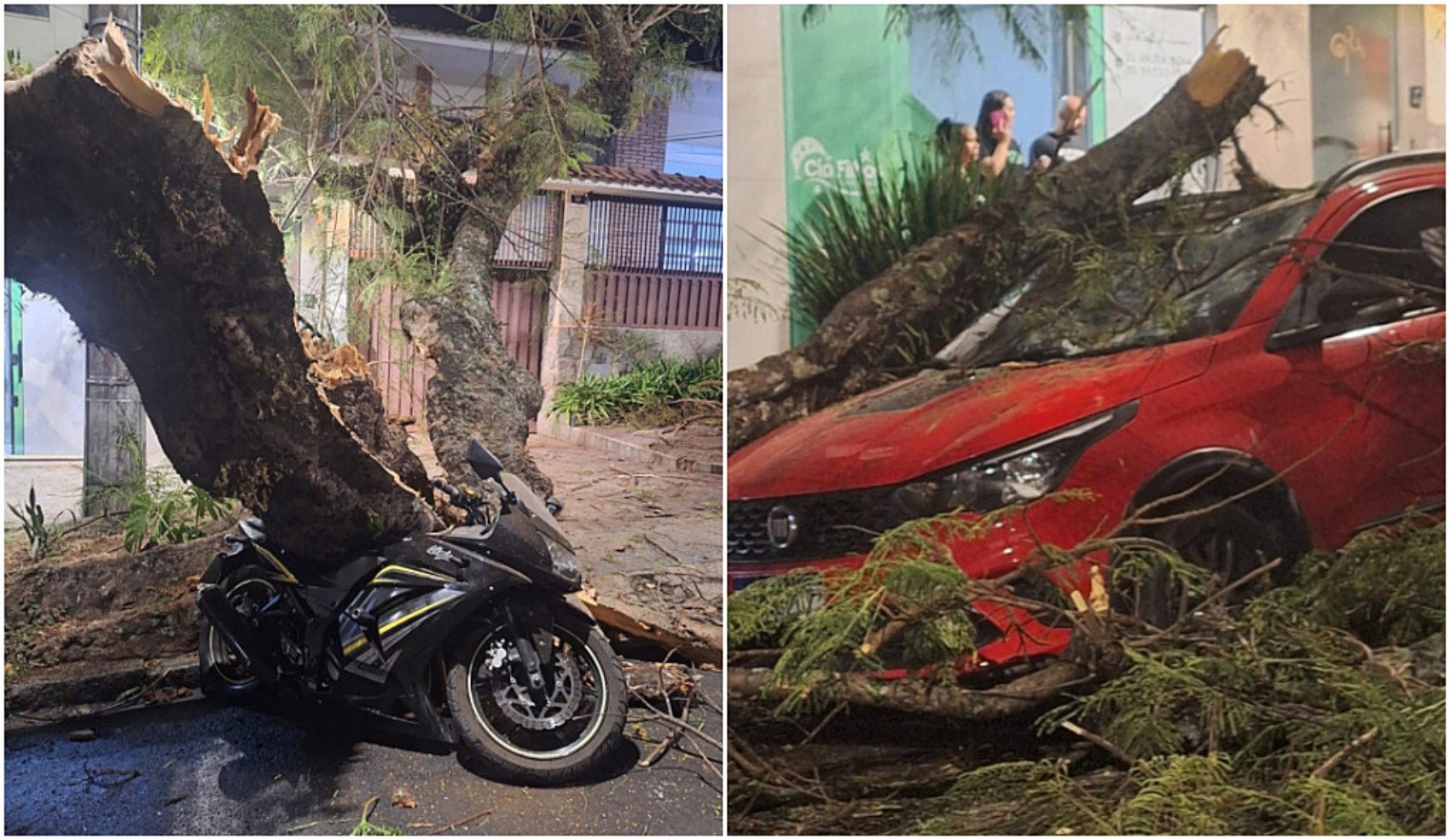 FOTOS: Árvore cai sobre carro e moto em Poços de Caldas
