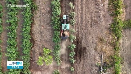Confira os destaques do Globo Rural deste domingo (3)