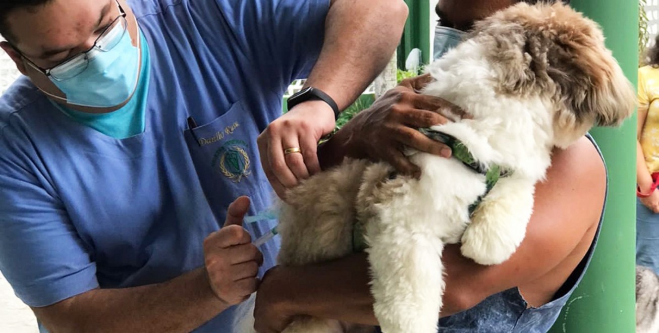 Campanha de vacinação antirrábica para cães e gatos segue em Parnamirim; veja locais
