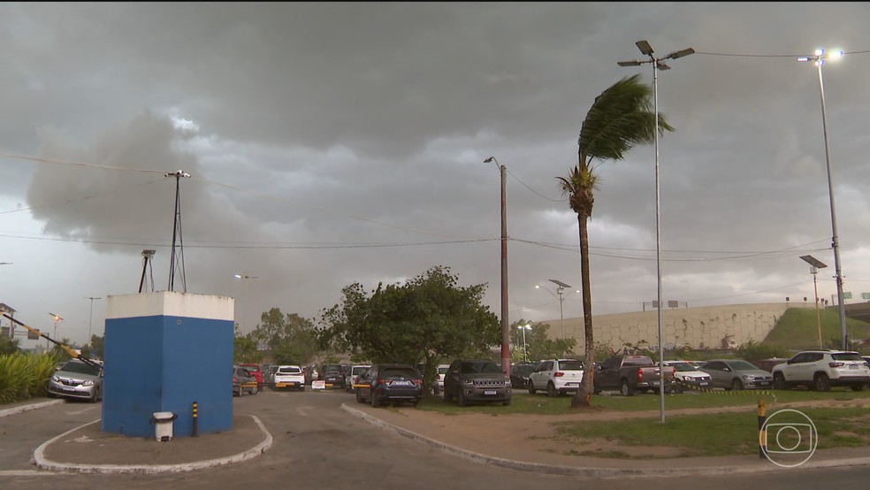 Brasil prepara plano para enfrentar mudanças climáticas — Foto: Jornal Nacional/ Reprodução