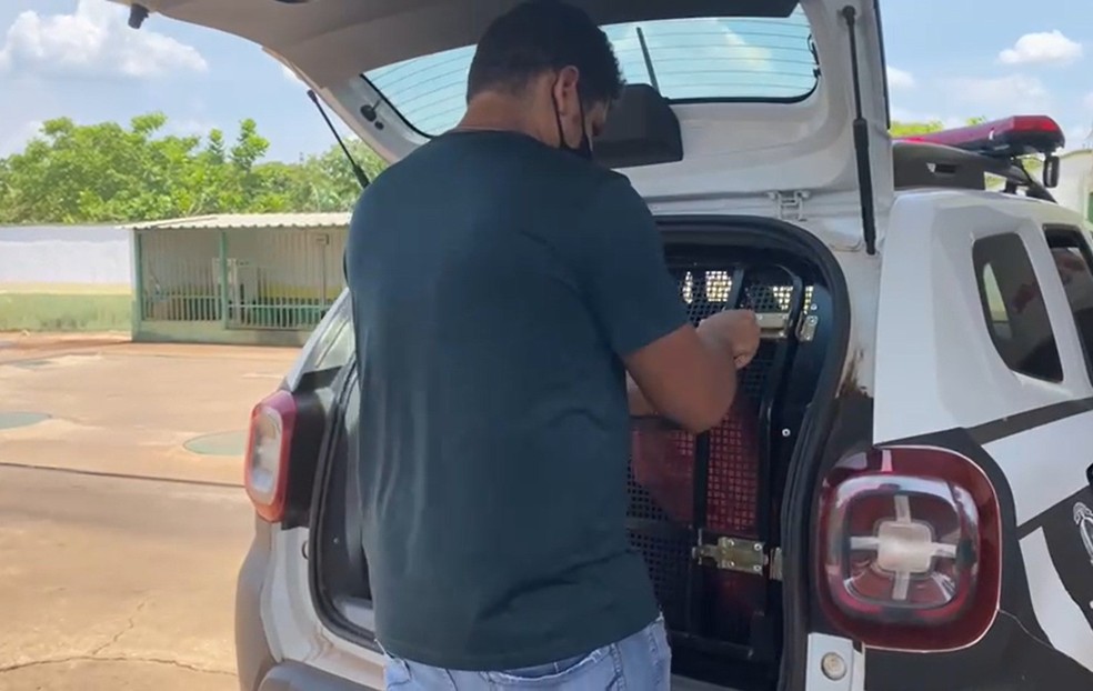 Prisão aconteceu na região norte de Palmas — Foto: Divulgação/Polícia Civil