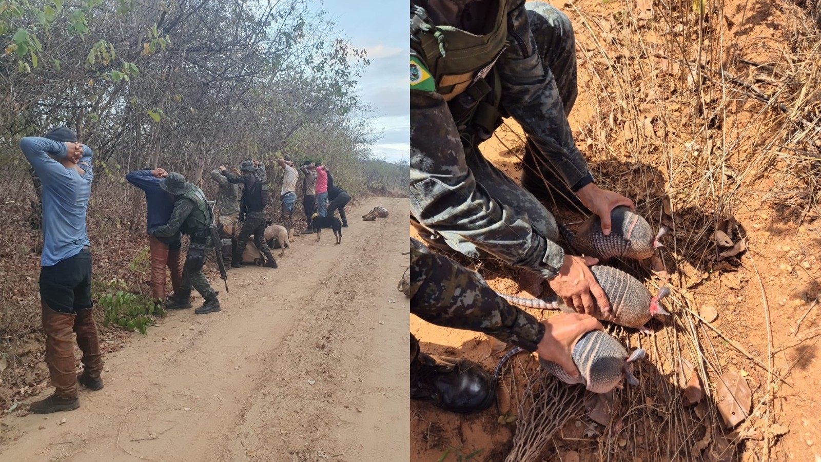 Torneio de caça ilegal de animais silvestres é interrompido e oito pessoas são detidas no interior do Ceará